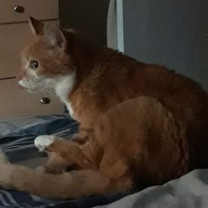 Meet your Posher, Tracy